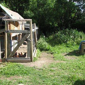 Coop and seclusion pen / chicken tractor depending on needs