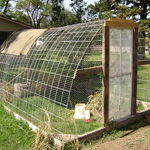 Quail pen out of cattle panels