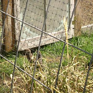 detail of net over panel
