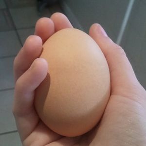 saphire big egg 108 g