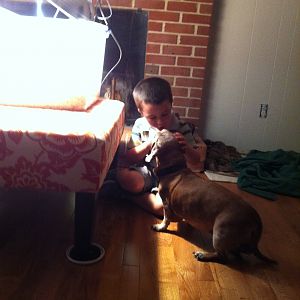 Landon was telling our dog Rosie about the chicks.
