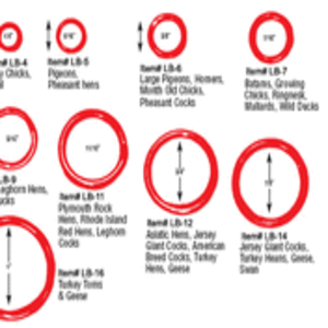 yhst-47162501710842_2223_121740052