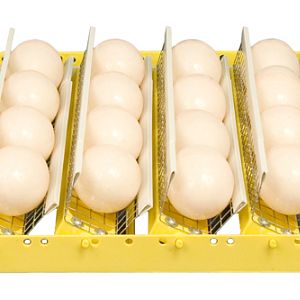 yhst-47162501710842_2223_23014770