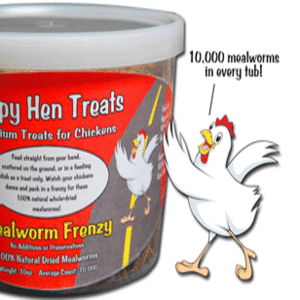 yhst-47162501710842_2223_109983041