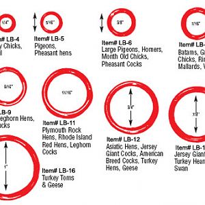 yhst-47162501710842_2223_122233318