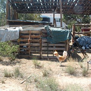 the tarps are for shade and rain protection.