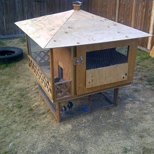 our coop is almost done :)  needs shingles