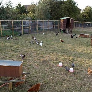 This is the chicken enclosure :)