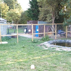 This is where my ducks live...