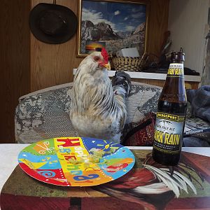 Enjoying a beer (not really) ;->