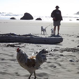 This was my first trip to the beach!