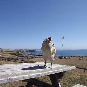 Posing at Pacific Star Winery