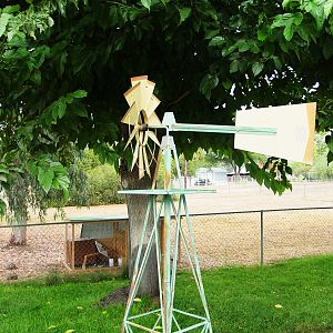 Our Windmill and Tractor Chick Nursery in the Back...