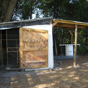 Adding on to the coop.