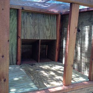 Nest boxes from inside the coop.