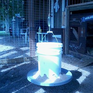 Automatic feeder from plans on this website
