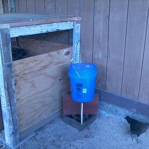 Automatic waterer with 2 Farmtek nipples