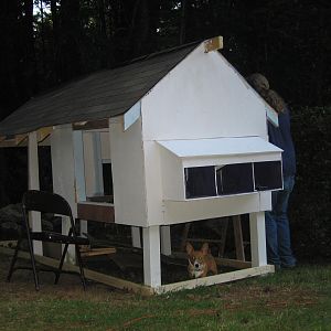 shingles and base done! Rohan the wonder corgi approves the heighr