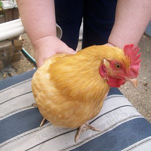 No, I don't want to stand here