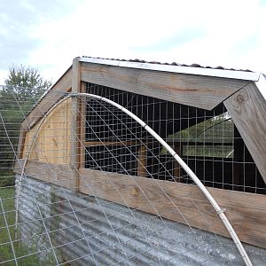 Left one side of each coop open at the top for ventilation