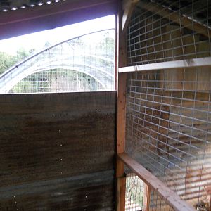 Coop is divided into two sections down the middle of the coop