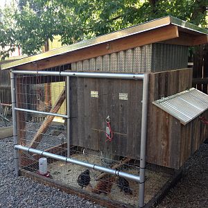 The coop made mostly of recycled fence and painting scaffold