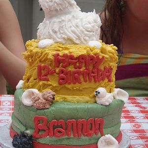 My b day cake