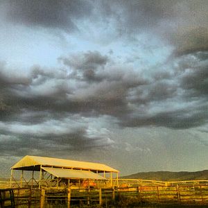montana sky
