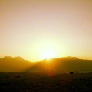 sunrise