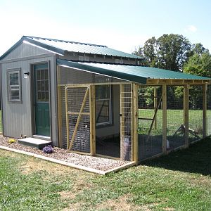 Finished coop - 9.5 x 12 housing + 164 sq. ft. run.  The 9.5 ft. resulted from DH not wanting to fool with a permit (required for any building 120 sq. ft. or greater).