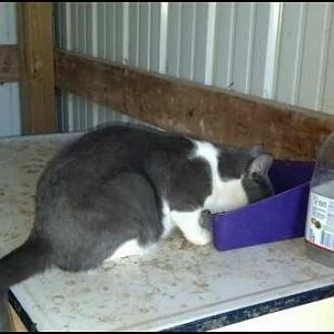 Chubba doing what he does best.