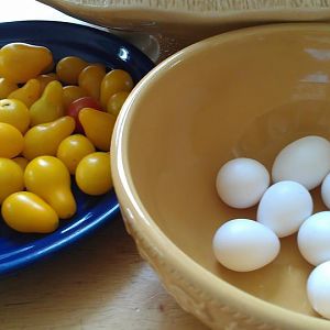 Waited for a week to have enough eggs for our family of 4!  They were amazing!