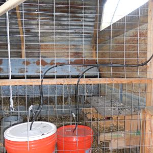 Another shot of the waterers