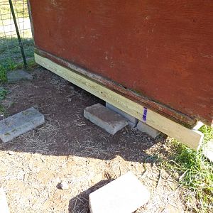 Step 3: Put PT 2x6 at bottom of existing coop to make even with side