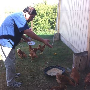 Lito feeding chickens for the first time in his life- he loves this
