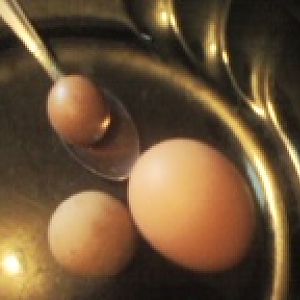 the teaspoon gives you an idea how small the 2 abnormal eggs are