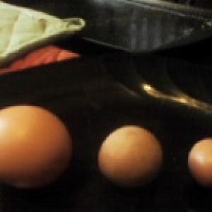 all three round eggs from a side angle