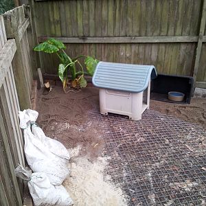 I have a couple of dog kennels that I will be using for the hens, I'll see how it goes.
I decided to go with the option of placing River Sand in the coop.