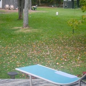 View from back door