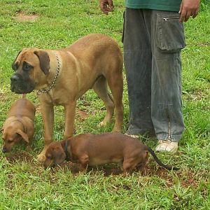 Me and my pack