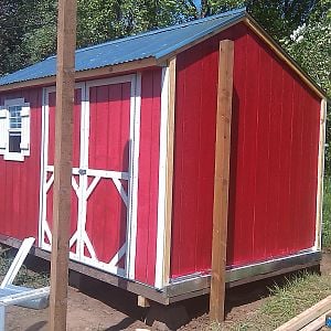 Coop Finished