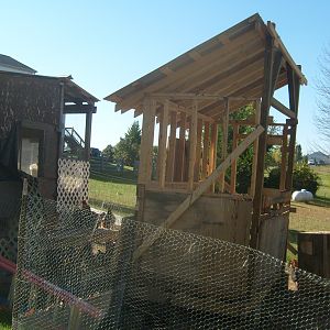 going to add a glass walkway from one coop to another.It's gonna be about 6' tall