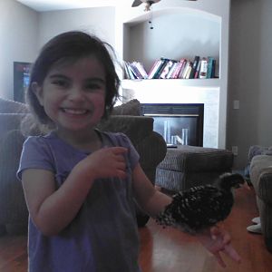 Katniss perched up on Delayna Darling.  I love how fascinated she is by the chicks.