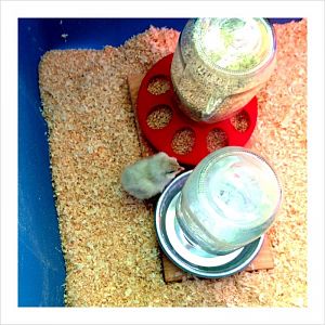 Marie was the first to figure out the food and water situation.