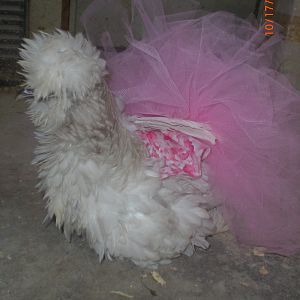 sizzle in her party dress.