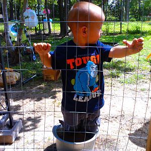 My Grandson Elvis. Standing in the water bowl full of water with shoes on! I can't turn my back :)