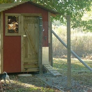 Our little chicken coop!