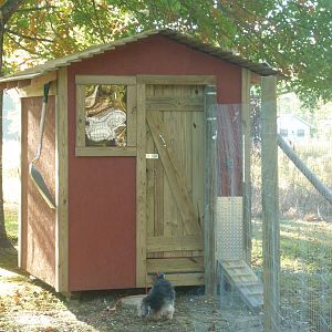 Our chicken coop and Havanese, Rosie.