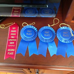 Did great at the livestock show.