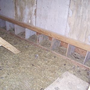 An inside view of the nest boxes